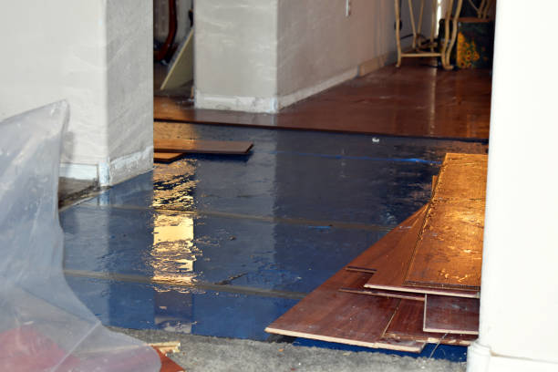 Professional Water Damage Restoration technician working in Rushford, MN